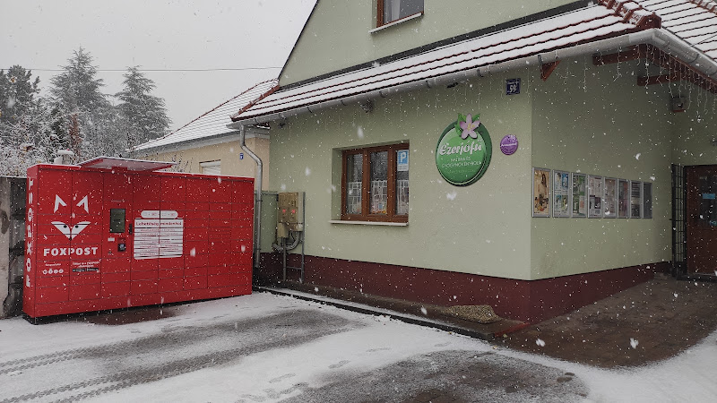 Ezerjófű gyógynövény szaküzlet és Holisztikus központ